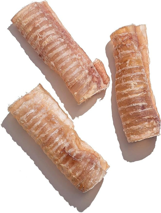 Jack&Pup 6" Beef Trachea for Dogs 20 Pack | All Natural Single Ingredient Dog Treat Dog Trachea Chews | Savory and Fun Treat for Dogs