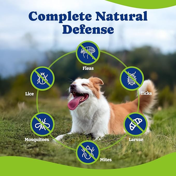 Flea & Tick Prevention for Dogs Chewables, YoYoBay Natural Dog Fleas and Ticks Control Supplement, Dogs Supplement, Natural Shield 5-in-1 Protection, Beef & Carrot Flavor, 180 Soft Chews *2 Pack