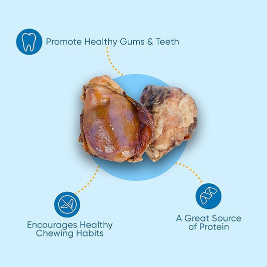 Dog Bone Knee Caps - 100% Natural & Long Lasting Beef Chews Beef Chew Treats for Pets - Ideal for Small to Large Dogs (30 Count - Made in USA)