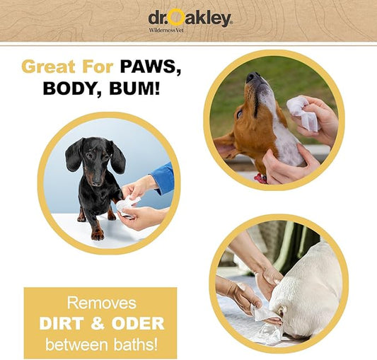 Daily Natural Dog Wipes, Honey & Oatmeal, 100 Ct, Gentle, Moisturizing, Odor-Eliminating, Alcohol-Free, Vet Approved