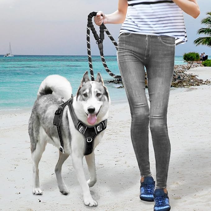 BARKBAY No Pull Dog Harness Large Reflective Dog Harness with Front Clip and Easy Control Handle for Walking Training Running with ID tag Pocket(Black,M)