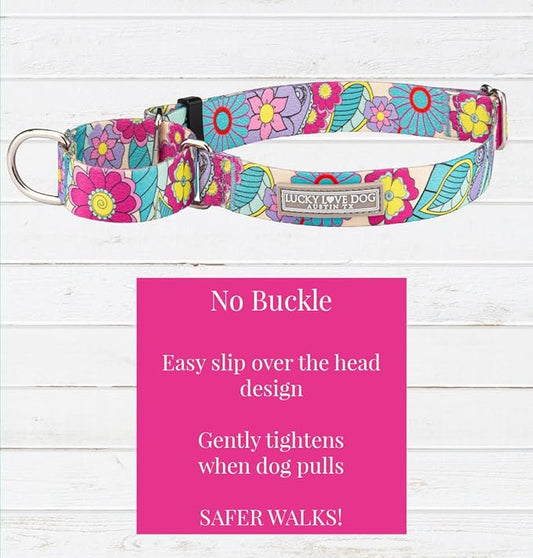 Lucky Love Dog Martingale Dog Collar - Adjustable, No-Slip, Durable, & Soft Webbing Dog Collar for Male and Female Dogs Ideal for Training & Walking - Stylish Caroline Pattern, Small Size