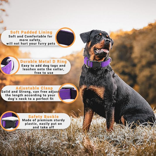 2 Pack Reflective Dog Collar with Safety Locking Buckle, Adjustable Soft Breathable Comfortable Nylon Pet Collar for Small, Medium and Large Dogs, Purple, Mini Small