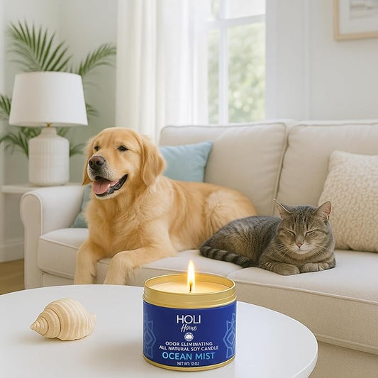 HOLI Pet Odor Eliminator Candle – Ocean Mist Scent – All Natural Soy Wax, Paraben & Phthalate Free, Pet Safe, Long-Lasting 30-Hour Burn, Non-Toxic & Plastic-Free Air Freshener for Home