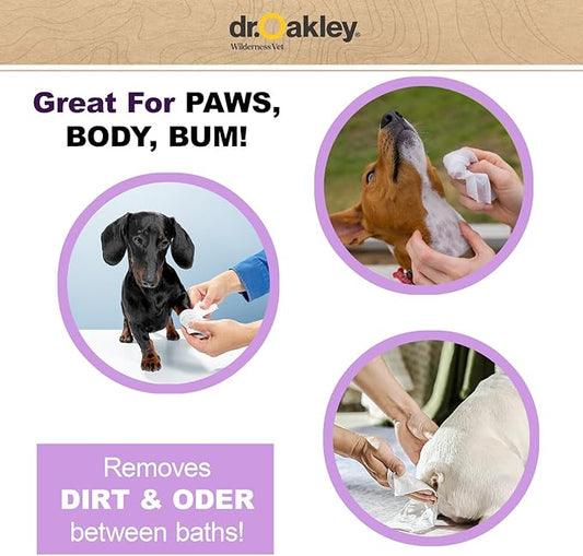 Daily Natural Dog Wipes, Lavender Scented, 100 Ct, Gentle, Moisturizing, Odor-Eliminating, Alcohol-Free, Vet Approved