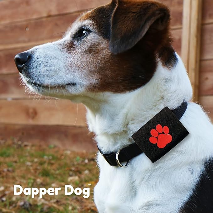 Dapper Dog Pet Tag Silencer and AirTag Holder (Black with Red Paw)