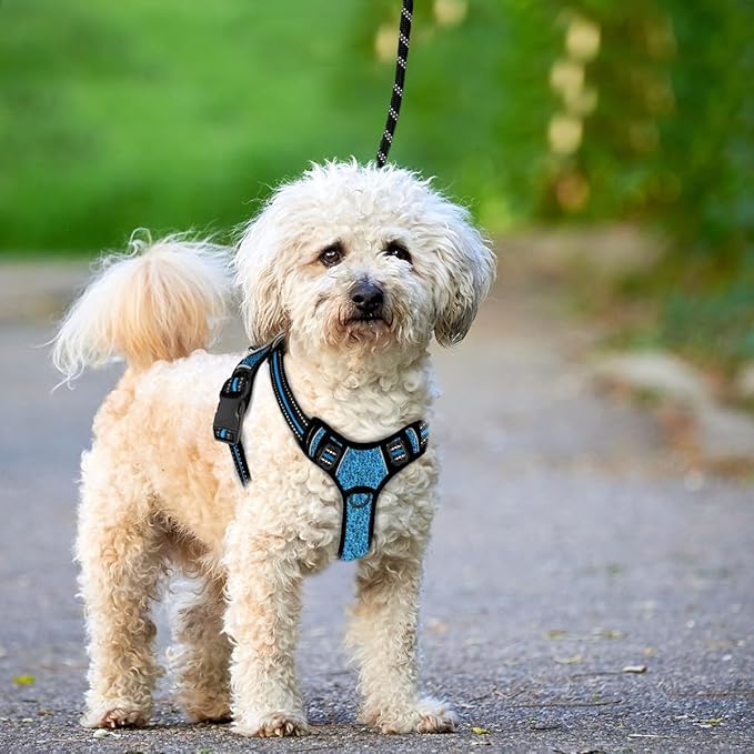 BARKBAY No Pull Dog Harness Large Reflective Dog Harness with Front Clip and Easy Control Handle for Walking Training Running with ID tag Pocket(Blue/Black,XS)