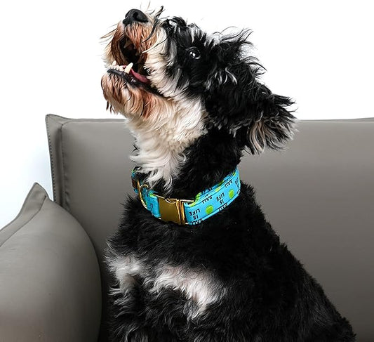 Lionet Paws Dog Collar, Comfortable Adjustable Cute Collar with Metal Buckle for Male Female Dogs Gift, Tennis Ball Pattern, Medium, Neck 13.5-22 inches