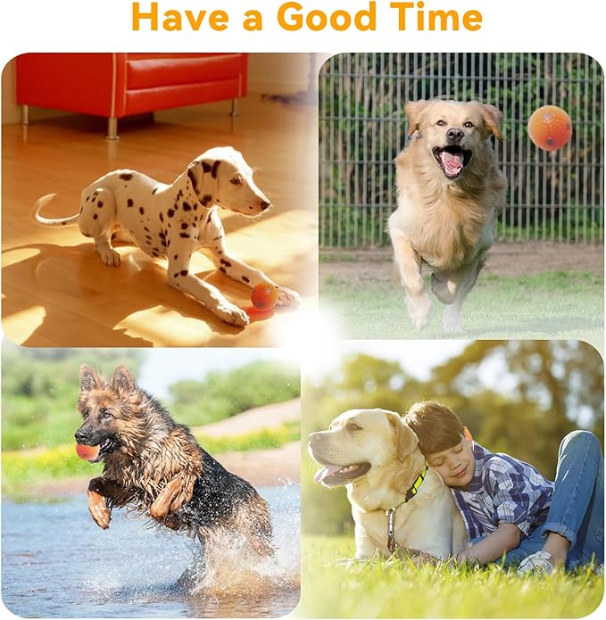ptlsy Automatic Dog Ball Launcher Interactive Puppy Pet Ball Indoor Thrower Machine for Small and Medium Size Dogs, 3 Balls Included (2 inch) (Purple, Remote)