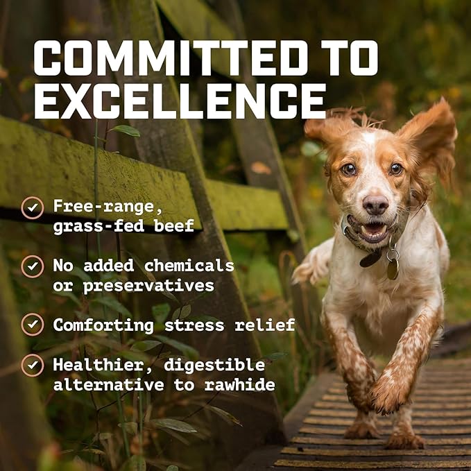 Wild Wolf USA Pig Ears (5 Pack) 100% Natural Dog Chew Treat - Sourced and Baked in The USA - Healthy, High Protein Snack