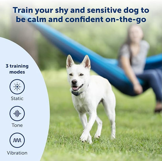 PetSafe 300 Yard Remote Training Collar – Smaller Version for Small or Medium Dogs – Choose from Tone, Vibration, or 15 Levels of Static Stimulation – Medium Range Option for Training Off Leash Dogs