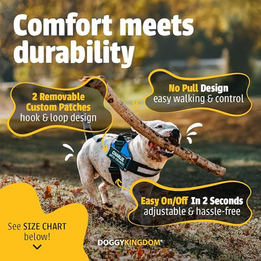 Personalized No-Pull Dog Harness with Name Patch, Adjustable, Reflective, Padded, Heavy Duty Pet Vest to Prevent Tugging, Pulling, or Choking, Training and Walking, Military Desert, S