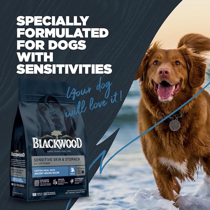 Blackwood Sensitive Skin & Stomach Dry Dog Food, Catfish Meal & Brown Rice with Ancient Grains, 4.5 Pound Bag with Prebiotics & Probiotics to Promote Gut Health