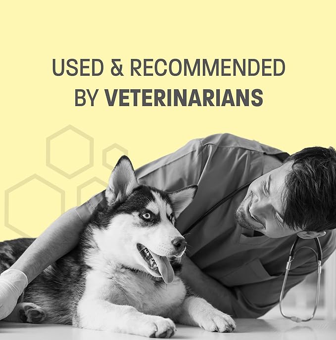 Pina Colada Scented Dog Deodorizing Spray for Dogs and Cats - Long Lasting Pet Cologne and Deodorizer - 8 oz