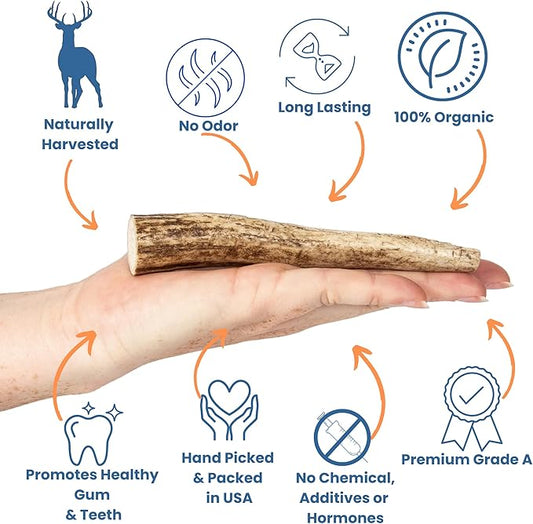 Elk Antlers for Dogs - Dog Antlers for Aggressive Chewers - USA Sourced Elk Antler for Dogs to Promote Oral Health - Long Lasting Antler Chews for Small, Medium, Large & XLarge Dogs