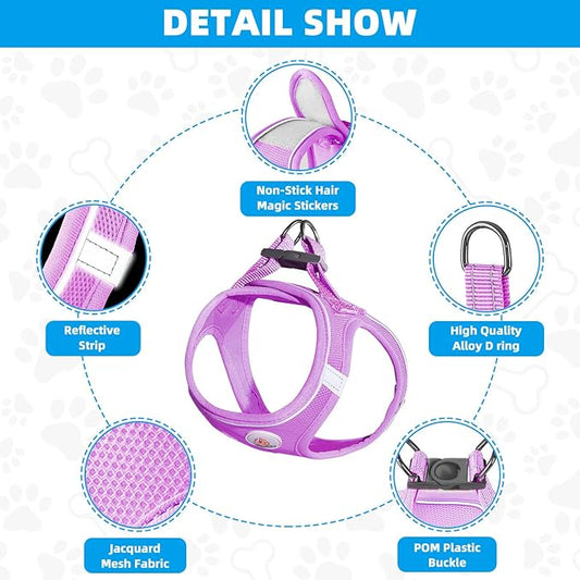 Dog Harness and Leash Set, No Pull Soft Mesh Puppy Harness for Small Medium Dogs, Cats - Step in Reflective Breathable Lightweight Vest Harness for Walking, Training - Purple, XXS