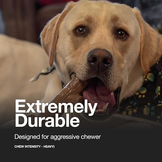 Hero Bonetics 3 Pack Dog Bundle with Treat Bone - Promotes Healthy Teeth & Gums - Mint Dental Bone, Wood Scented Stick, Peanut Butter Femur Bone - for Medium Dogs