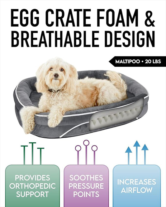 OhGeni Orthopedic Dog Bed for Medium Dogs, Dog Couch Design with Egg Foam Support, Removable, Machine Washable Plush Cover and Non-Slip Bottom with Four Sided Bolster Cushion (Gray)