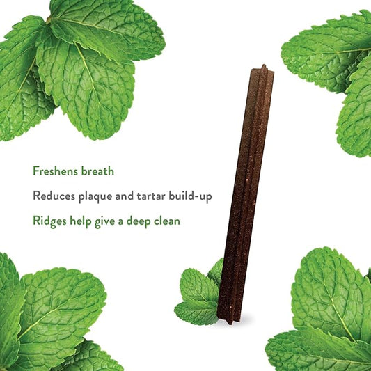 Shameless Pets Dental Treats for Dogs, Variety (4-Pack) - Healthy Dental Sticks for Teeth Cleaning & Fresh Breath - Dog Bones Dental Chews Free from Grain, Corn & Soy