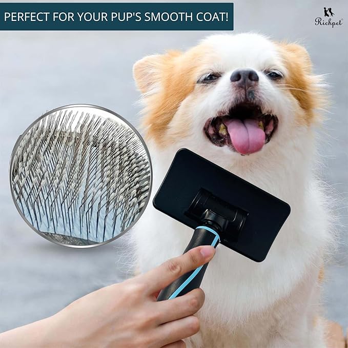 Pet Slicker Brush (Small Size, Black) for Grooming Pet Hair with Fluff Detangle Style β Dog Brush for Long & Short Haired Dogs for Goldendoodles β Curved Pin for β Removes Tangles & Loose Fur