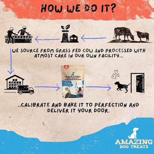 Amazing Dog Treats - Stuffed Shin Bone for Dogs (Bully Stick Flavor, 3-4 Inch - 5 Count) - All Natural Dog Bones