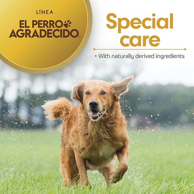 Perro Agradecido Anti Odor Spray®, Grooming Spray for Dogs, Sensitive Skin, Eliminates Odor, Shiny Coat, Easy Dog Brushing, Natural Ingredients, 2-Pack, 8.4 Fl Oz Each, 2 Spray Bottles