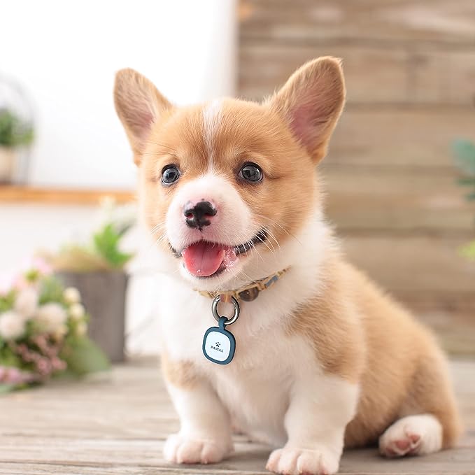 Pawaii QR Code Pet ID Tag, Silent Silicone Dog ID Tag, Modifiable Pet Online Profile, Free Online Pet Page Emergency Contact, Scan QR Receive Instant Pet Location Alert Email, 1Pack (Yellow)