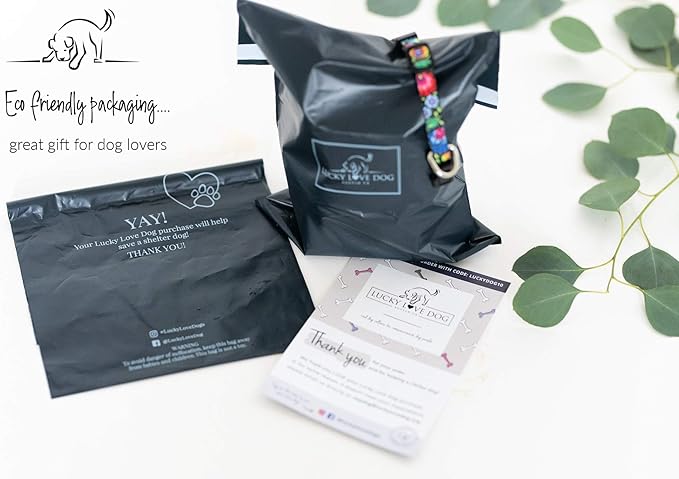 Lucky Love Dog Combo Set,Rainbow Dog Collar & Leash Set for X-Small Dogs, Colorful Matching Collar and Leash Set for Girl or Boy Dogs, Rainbow Stripes Hippie Combo, XS