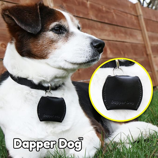 Dapper Dog Leather Dog Tag Silencer (Black)