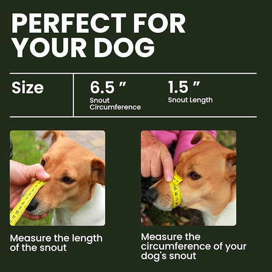 BRONZEDOG Dog Muzzle Wire Basket Metal Mask for Small, Medium and Large Dogs, Breathable, Dog can Drink, Adjustable, Padded, Training, Prevents Biting (Size 2: Jack Russell Terrier)