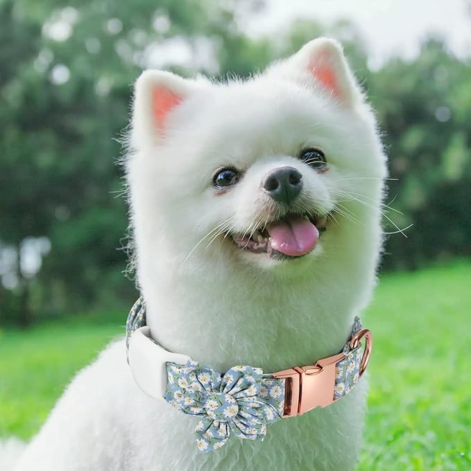 Airtag Dog Collar Holder,Anti-Lost Silicone Case Accessories for Air Tag GPS Tracking,Compatible with Dogs Cats Pets Collar (1 Pack, White)