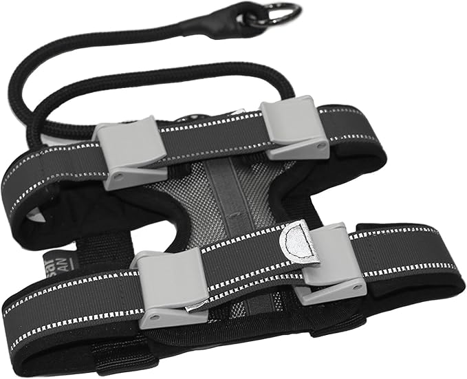 Cesar Millan Pack Leader Collar™ - Training Collar of The Dog Whisperer (Large, Blue)