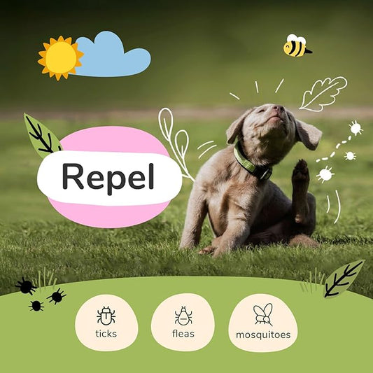 kin+kind Plant Based Flea and Tick Spray for Dogs and Cats – Essential Oil Formula with Lemongrass – Flea and Tick Prevention for Cats, Kittens, Puppies & Dogs - Pet Supplies - Family Safe – 12 fl oz