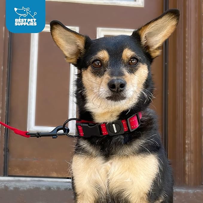 Best Pet Supplies Reflective Dog Collar with Adjustable Length, Heavy-Duty Buckle, and Strong Leash D-Ring, Training, Walking, Jogging Accessory for Small, Medium, and Large Breeds - Orange, M