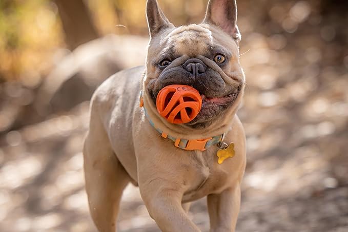 Chuckit! Air Fetch Ball Dog Toy, Small (2 Inch Diameter), for dogs 0-20 lbs, Pack of 2