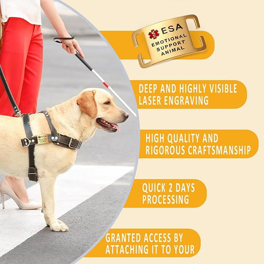 No Noise Stainless Steel K9 ESA Dog Tags, Slide on Dog Collar or Harness Quickly and Securely – PVD Gold/Large