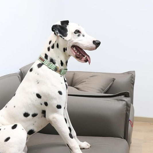 Lionet Paws Dog Collar, Comfortable Adjustable Cute Collar with Metal Buckle for Male Female Puppies and Cats Gift, Tennis Ball Pattern, XS, Neck 8-12 inches