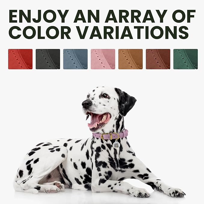 BRONZEDOG Rolled Leather Dog Collar with QR ID Tag Adjustable Soft Round Collars for Small Medium Large Dogs Puppy Cat (7" - 10" Neck Size, Emerald Green)