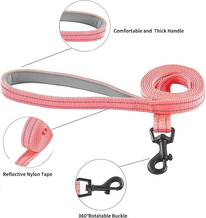 Dog Harness and Leash Set, No Pull Soft Mesh Puppy Harness for Small Medium Dogs, Cats - Step in Reflective Breathable Lightweight Vest Harness for Walking, Training - Pink, S