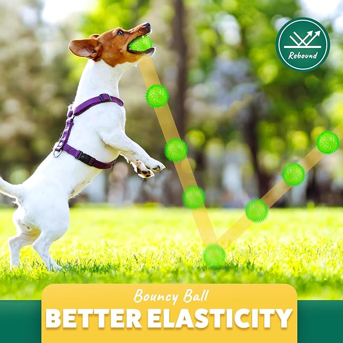 2 Different Functions Interactive Balls for Dogs 2.5” Squeaky Dog Balls Toys and Puppy Teething Chew Toy Balls for Small Dogs Dog Balls for Clean Teeth and Training (5Pcs)