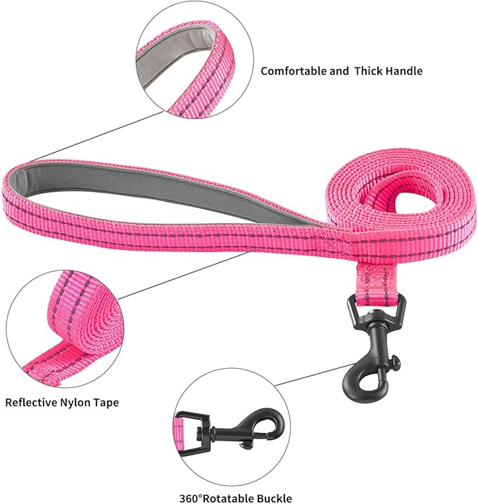 Dog Harness and Leash Set, No Pull Soft Mesh Puppy Harness for Small Medium Dogs, Cats - Step in Reflective Breathable Lightweight Vest Harness for Walking, Training - Rose Red, XXS