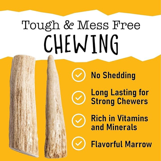 Snatchers Split Deer Antlers for Mild to Aggressive Chewers – Durable, Naturally Shed Antlers for Dogs Processed in The USA, No Additives (Large, 1 Count)