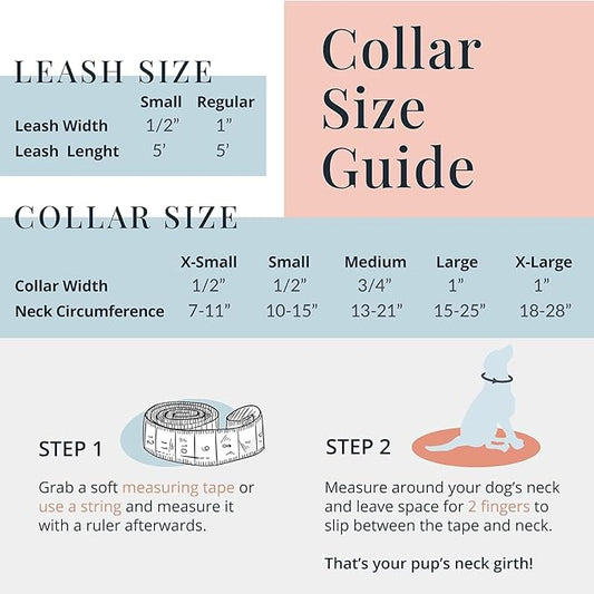 Lucky Love Dog Combo Set, Dog Collar & Leash Set for X-Small Dogs, Colorful Matching Collar and Leash Set for Girl or Boy Dogs, Stripes Leo Combo, XS