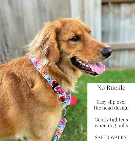 Lucky Love Dog Martingale Collar and Leash Set, Premium No Slip Collar and Leash Set, Vivid Floral Martingale Dog Collar, Great for Whippets, Greyhounds, and More (Ladybird, Small - Combo)