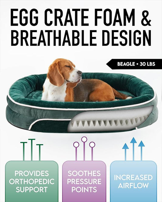 OhGeni Orthopedic Dog Bed for Large Dogs, Dog Couch Design with Egg Foam Support, Removable, Machine Washable Plush Cover and Non-Slip Bottom with Four Sided Bolster Cushion (Dark Green)