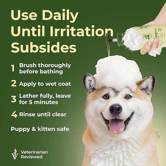 Natural Pet Shampoo for Dogs & Cats – Dog Shampoo Itchy Skin Relief, Odor Control & Deep Cleansing – Plant Based Formula Dog Shampoo Cat Shampoo – Safe for Sensitive Skin, Reduce Shedding – 1 Box