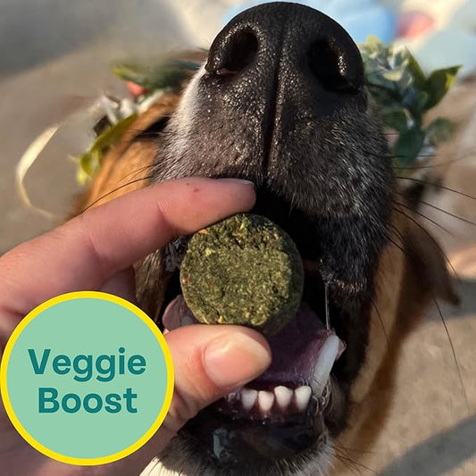 Chippin Plant-Based Spirulina Healthy Supplement & Dog Treat (5oz, 1-Pack) | Stop Grass Eating | Hypoallergenic, Chicken-Free Vegan Protein | 100% Made in USA