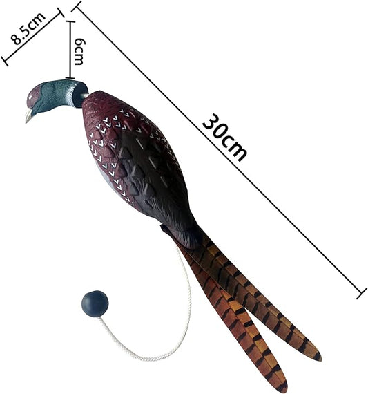 2 Pcs Pheasant Dummy Bumper Toy for Hunting Retriever Dog Training, Hunting Duck Recognition Trainers, Tetriever Interactive Training Toys, Foam Pet Dog Interactive Toys