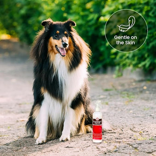 Scentament Spa Botanical Body Splash, Fresh Apple Lily, 8 oz (ZX8800 08 02)