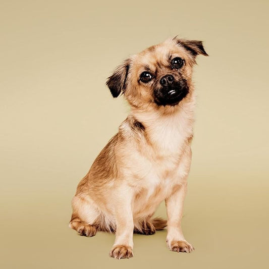 Soothing Oatmeal Conditioner, Gentle Formula, Gallon